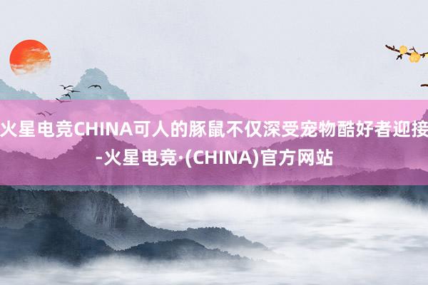 火星电竞CHINA可人的豚鼠不仅深受宠物酷好者迎接-火星电竞·(CHINA)官方网站