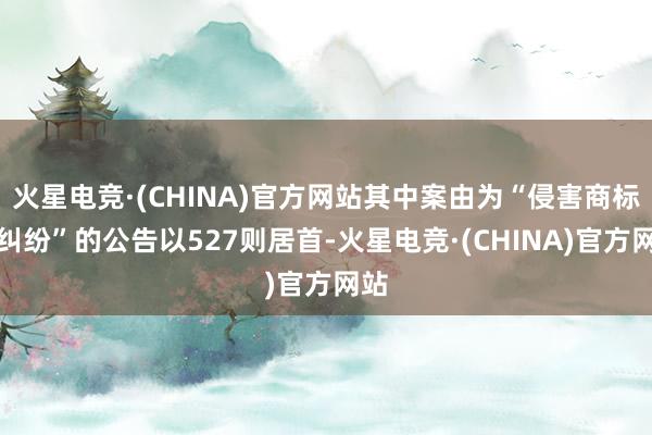 火星电竞·(CHINA)官方网站其中案由为“侵害商标权纠纷”的公告以527则居首-火星电竞·(CHINA)官方网站