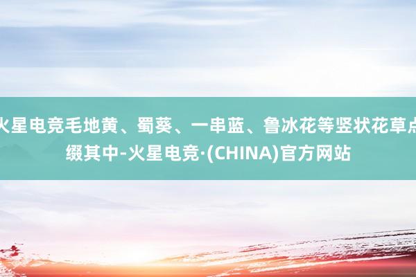 火星电竞毛地黄、蜀葵、一串蓝、鲁冰花等竖状花草点缀其中-火星电竞·(CHINA)官方网站