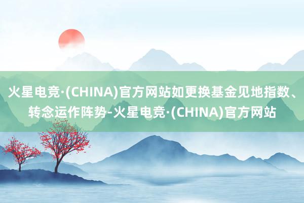 火星电竞·(CHINA)官方网站如更换基金见地指数、转念运作阵势-火星电竞·(CHINA)官方网站