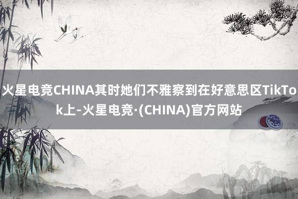 火星电竞CHINA其时她们不雅察到在好意思区TikTok上-火星电竞·(CHINA)官方网站