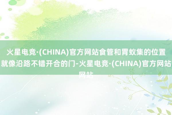 火星电竞·(CHINA)官方网站食管和胃蚁集的位置就像沿路不错开合的门-火星电竞·(CHINA)官方网站