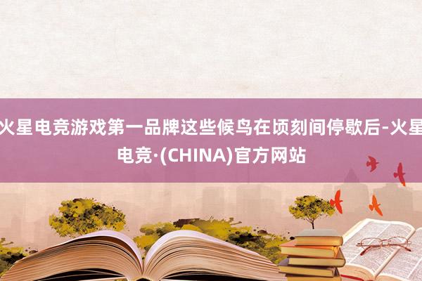 火星电竞游戏第一品牌这些候鸟在顷刻间停歇后-火星电竞·(CHINA)官方网站